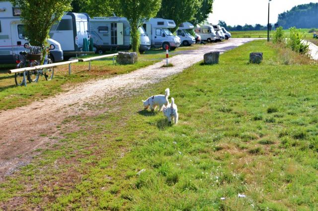 zelt 4 personen 2 kabinen Familienzelte und 4-Personen Zelte mieten| dein Gipfel günstig mieten –  Dein Gipfel main image 1