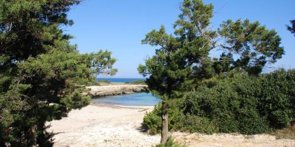 Villaggio Campeggio Cala dei Ginepri
