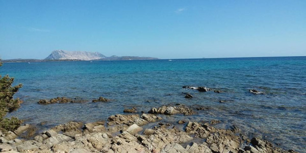 Camping Cala d'Ambra