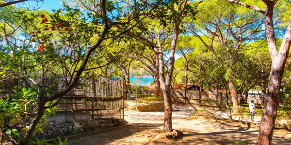 Camping Lacona Pineta