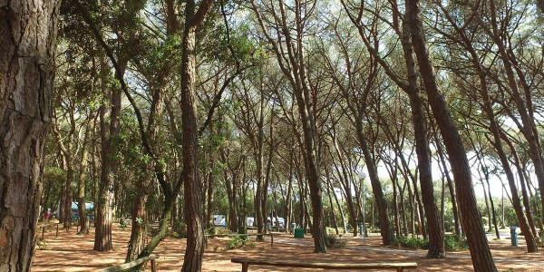 Villaggio Camping Baia Domizia