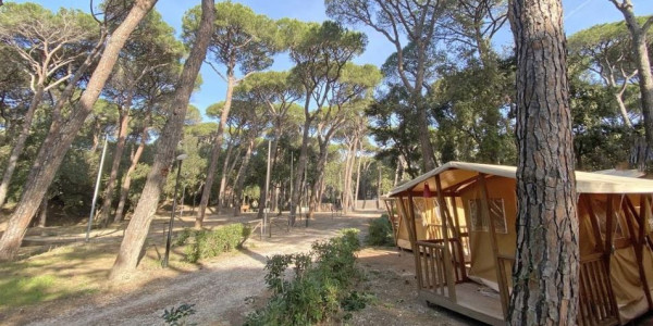 Camping Belmare