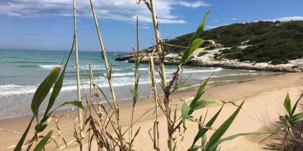 Campeggio Holiday Village