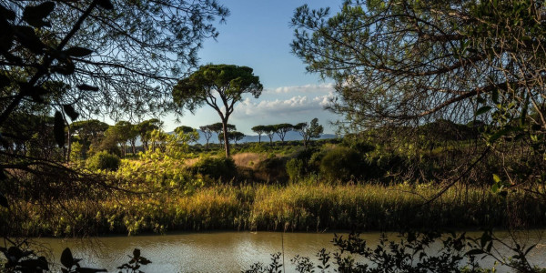 Camping Village il Sole