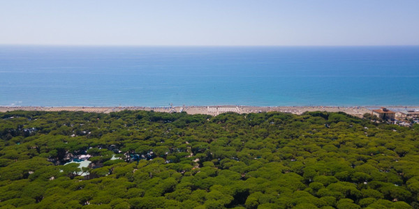 Camping Continental