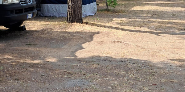 Camping Torre Casale