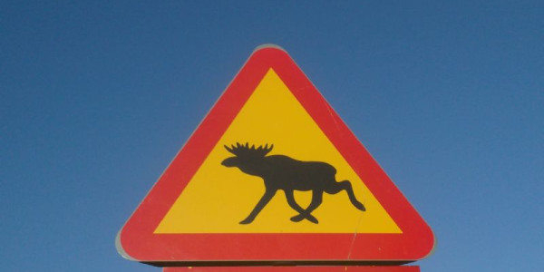 Norvegia 2009