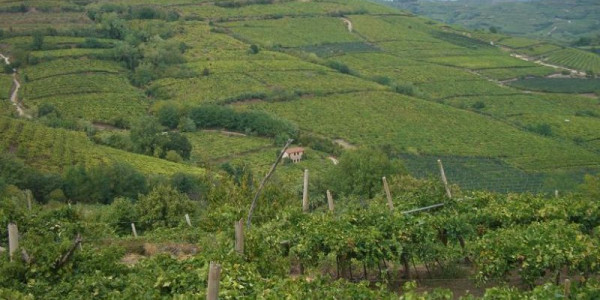 Monteforte ed i suoi sapori (1^ parte)