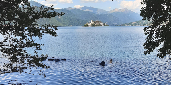 Piemonte da scoprire