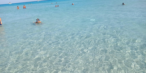 Estate 2021 - Sardegna