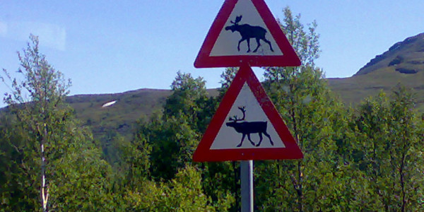 2021 - Re-open Norway