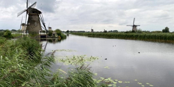 Olanda 2021