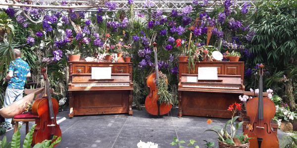 Pasqua 2022 in Olanda