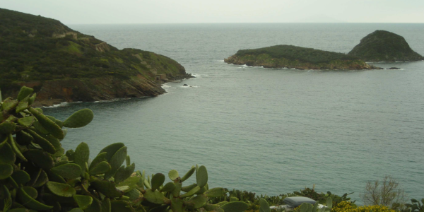 Isola d'Elba in camper