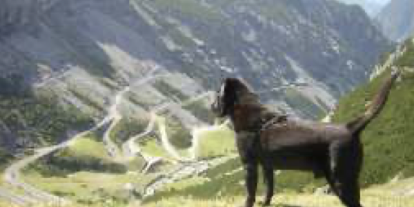Trentino in camper