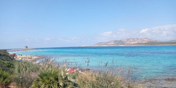 Sardegna 2022