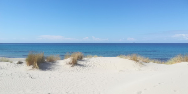 Sardegna selvaggia sud-ovest e Umbria