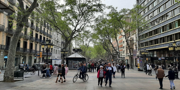 Calimero a Barcellona