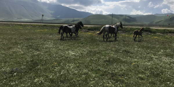 Umbria: Norcia e Castelluccio