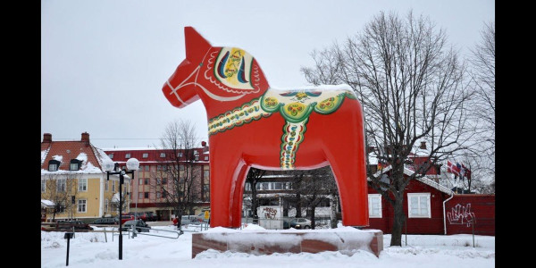 Laika Arctic Experience - Day 34