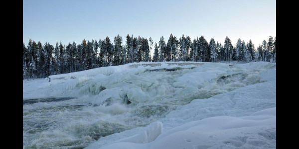 Laika Arctic Experience - Day 29 