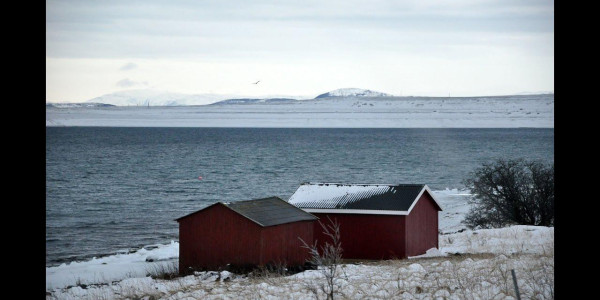 Laika Arctic Experience - Day 25