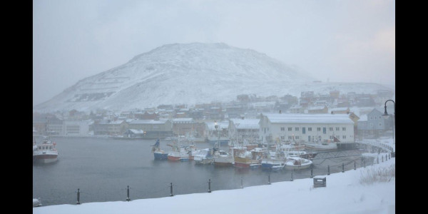 Laika Arctic Experience - Day 22