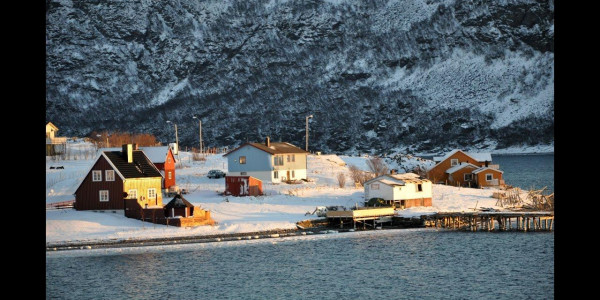 Laika Arctic Experience - Day 21