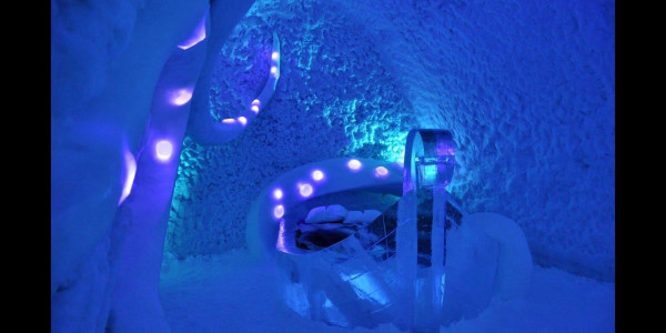 Laika Arctic Experience - Day 14
