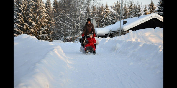 Laika Arctic Experience - Day 10