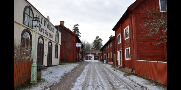 Laika Arctic Experience - Day 5