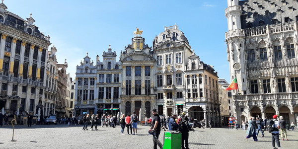 Calimero in Belgio