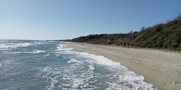 Sardegna, Corsica orientale e dito, in camper