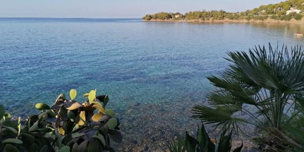 Cilento, 2020