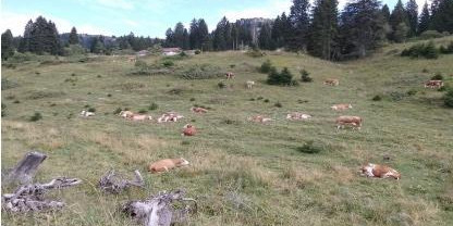 Tra Veneto e Trentino in camper