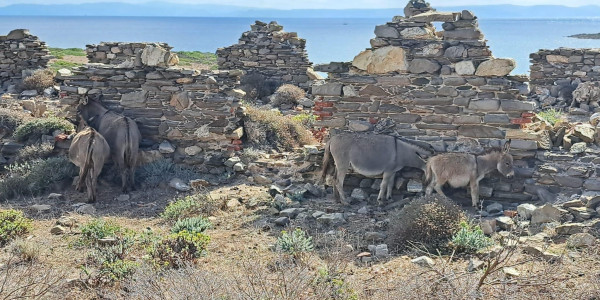 Sardegna in camper: settembre 2025
