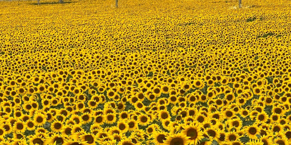 Viaggio in Romania in camper