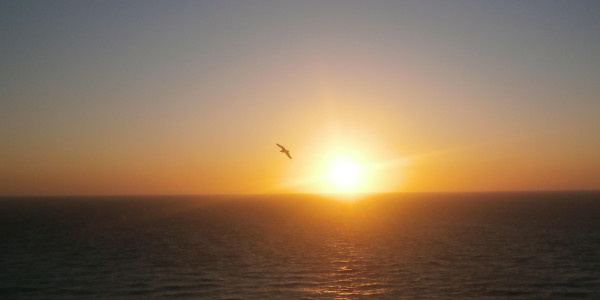 Normandia e Bretagna in camper 2025