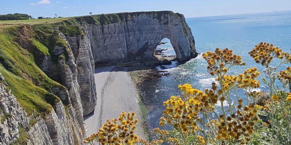 Normandia in camper: là dove la Natura si fonde con la Storia