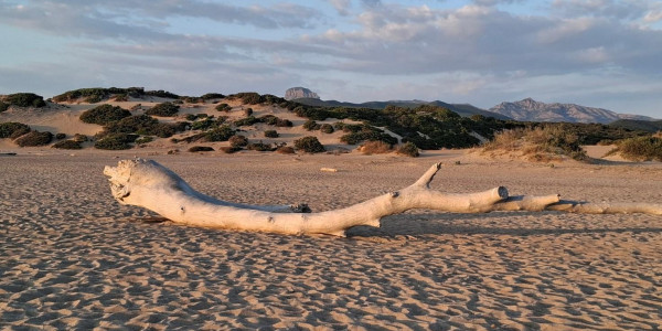 Il paradiso può attendere, la Sardegna no! Tour in camper.