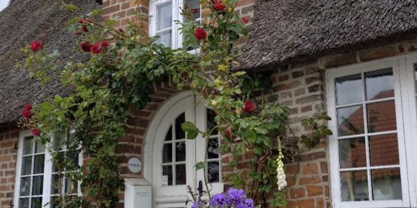 Calimero in Danimarca