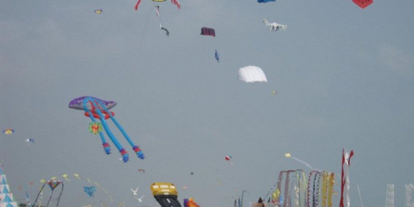 Festival internazionale dell'aquilone