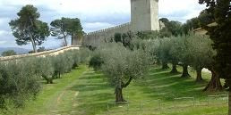 Umbria e riviera del Conero