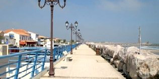 Camargue