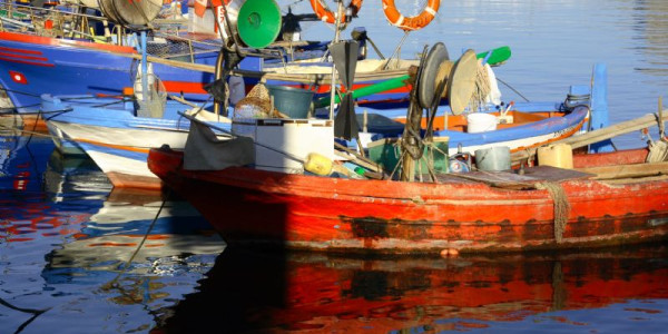 La nostra Sicilia