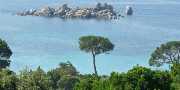 Vacanze in Corsica