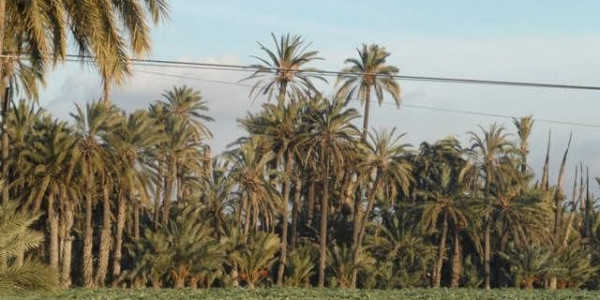 Spagna e Gibilterra