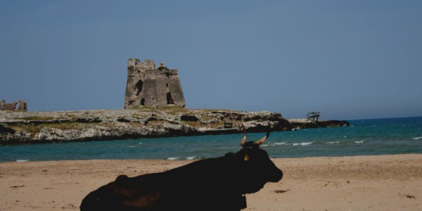 Gargano