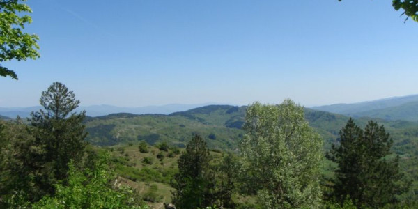 Dalle Foreste Casentinesi all'Adriatico