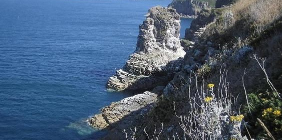 Viaggio di nozze in Francia